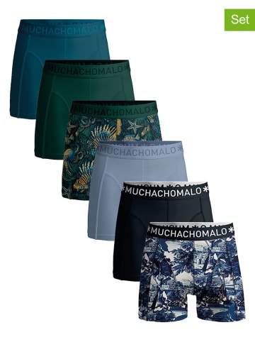 Muchachomalo 6er-Set: Boxershorts in Schwarz/ Dunkelgrün/ Hellblau