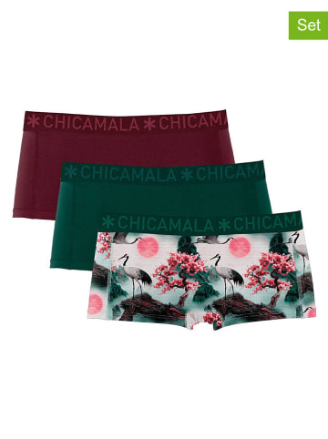 Muchachomalo 3-delige set: hipsters bordeaux/donkergroen