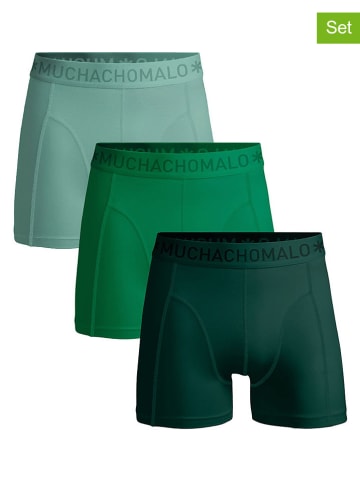 Muchachomalo 3er-Set: Boxershorts in Dunkelgrün/ Grün/ Hellgrün