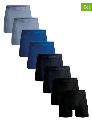 Muchachomalo 8er-Set: Boxershorts in Schwarz/ Blau/ Hellblau