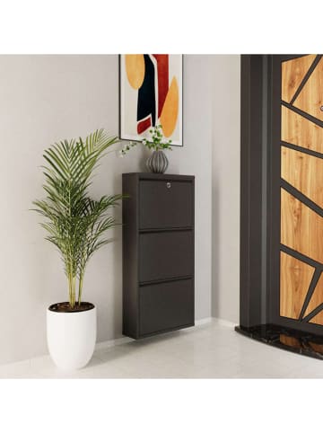 Scandinavia Concept Schuhschrank in Anthrazit - (B)50 x (H)103 x (T)15 cm
