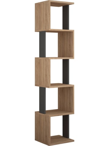 Scandinavia Concept Boekenkast "Piri" bruin/antraciet - (B)35 x (H)161 x (D)30 cm