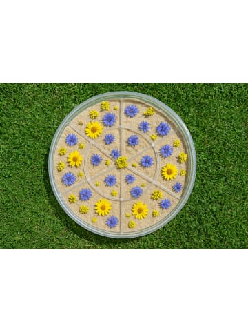 GOWI Zestaw kreatywny "MandaLogi" - 3+