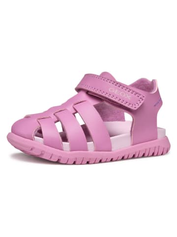 Geox Półsandały "Fusbetto" w kolorze różowym