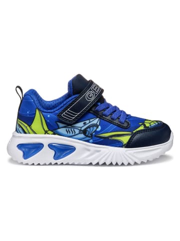 Geox Sneakers "Assister" blauw
