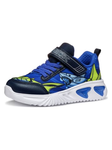Geox Sneakers "Assister" blauw