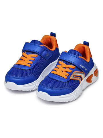 Geox Sneakers "Assister" in Blau