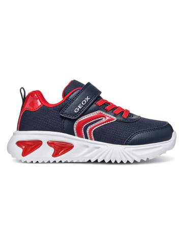 Geox Sneakers "Assister" in Dunkelblau