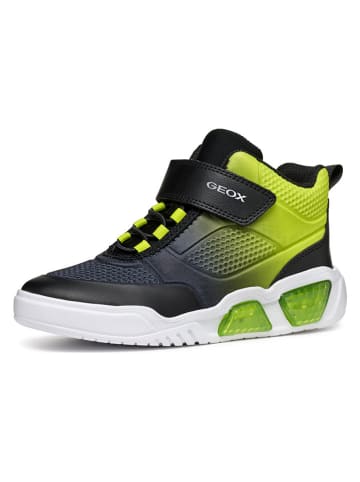 Geox Sneakers "Illuminus" in Schwarz/ Grün