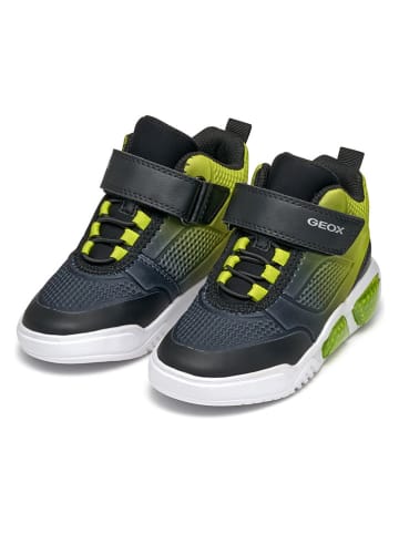 Geox Sneakers "Illuminus" in Schwarz/ Grün
