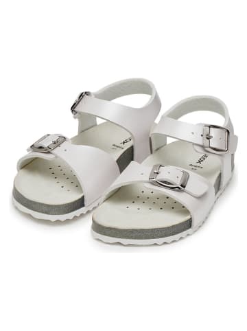 Geox Sandalen "Adriel" grijs