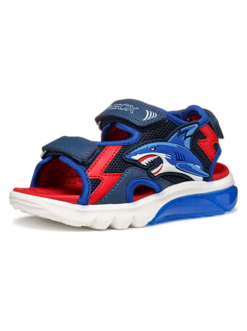 Geox Sandalen "Ciberdron" in Blau