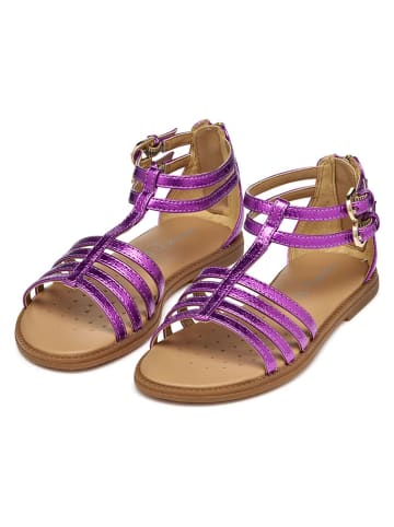 Geox Sandały "Karly" w kolorze fioletowym