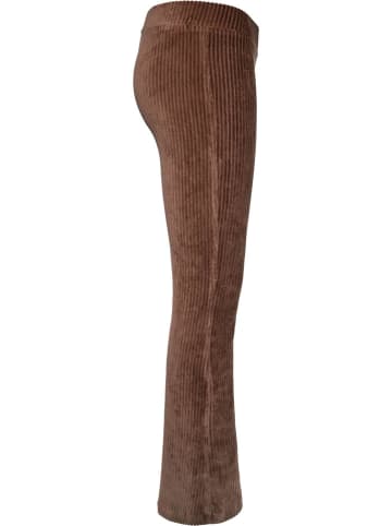 Blue Effect Hose in Braun