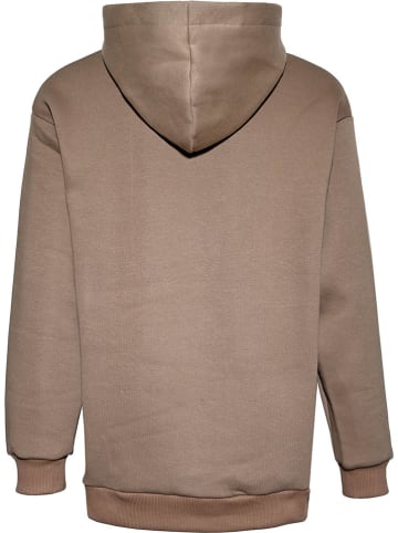 Blue Effect Hoodie lichtbruin