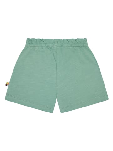 loud + proud Shorts in Grün