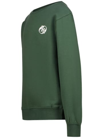 RAIZZED® Sweatshirt groen