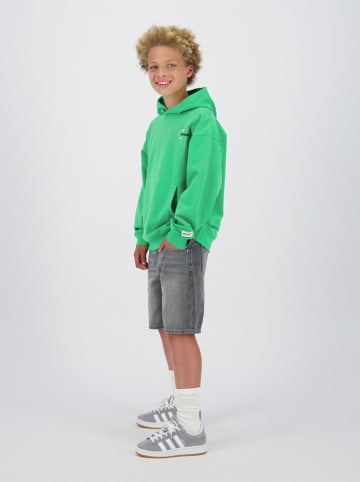 RAIZZED® Hoodie groen