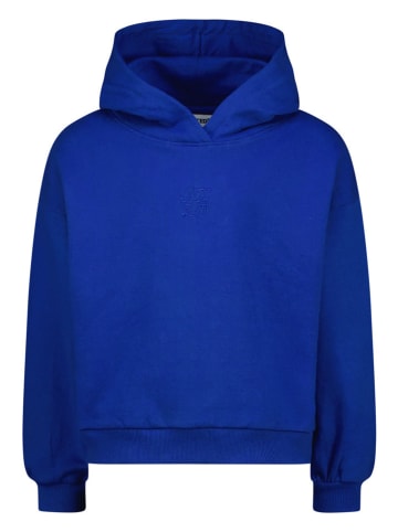 RAIZZED® Bluza w kolorze niebieskim