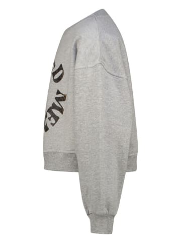 RAIZZED® Sweatshirt "Sifra" in Hellgrau