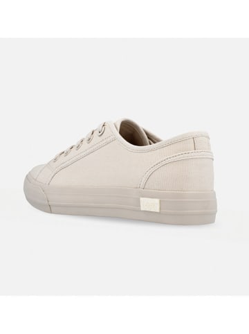Lee Sneakers "Ava" in Beige
