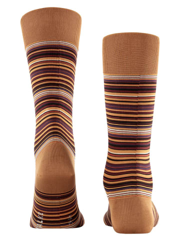 Falke Socken "Microblock" in Hellbraun/ Lila