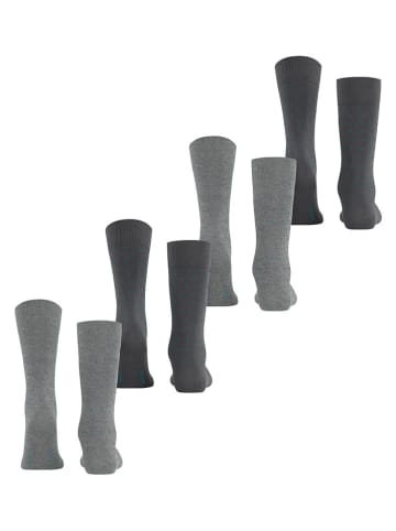 ESPRIT 4er-Set: Socken "Fine Dot" in Anthrazit/ Grau