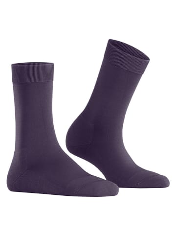 Falke Socken "ClimaWool" in Aubergine