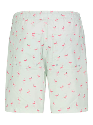 Sublevel Badeshorts in Grün