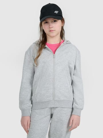 4F Sweatjacke in Grau