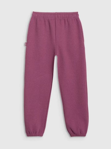 4F Sweathose in Lila