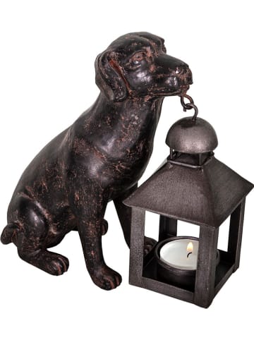 Anticline Laterne in Schwarz - (H)19 cm