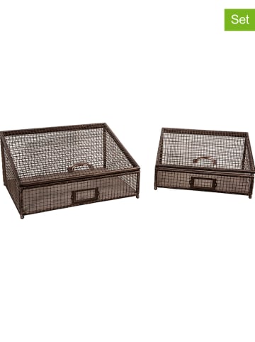 Anticline 2-delige set: manden bruin