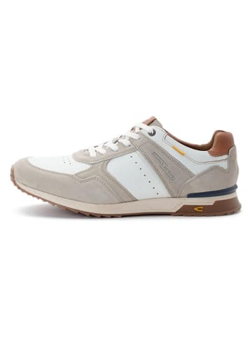 Camel Active Leder-Sneakers "Alley" in Grau/ Weiß