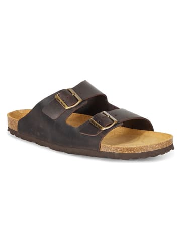 Camel Active Leder-Pantoletten "Bio" in Braun