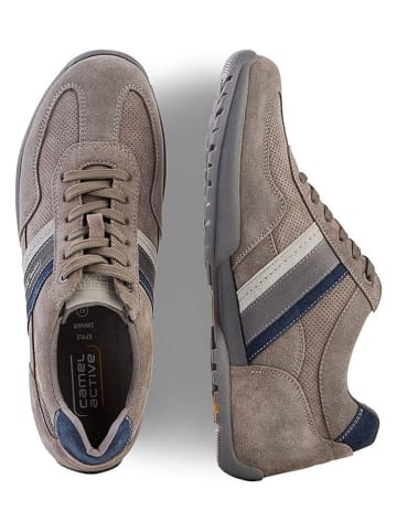 Camel Active Leder-Sneakers "Driver" in Grau
