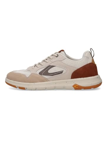 Camel Active Leder-Sneakers "Harvest" in Beige