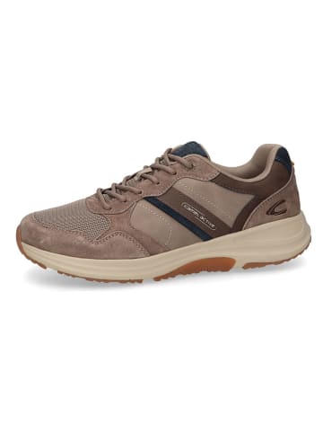 Camel Active Leder-Sneakers "Connect" in Taupe