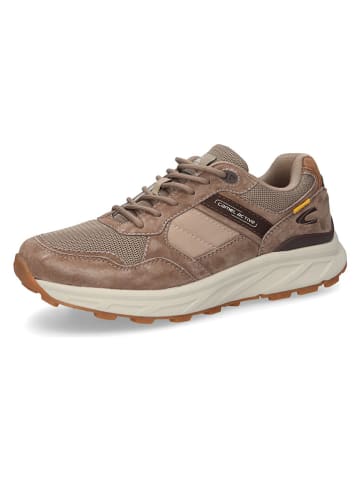 Camel Active Leder-Sneakers "George" in Taupe
