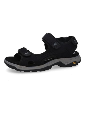 Camel Active Leren sandalen "Rise" zwart
