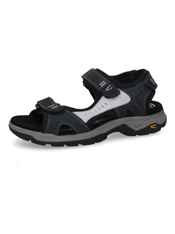 Camel Active Leren sandalen "Rise" donkerblauw