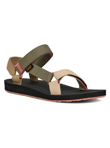 Teva Sandalen "Teva" beige/kaki