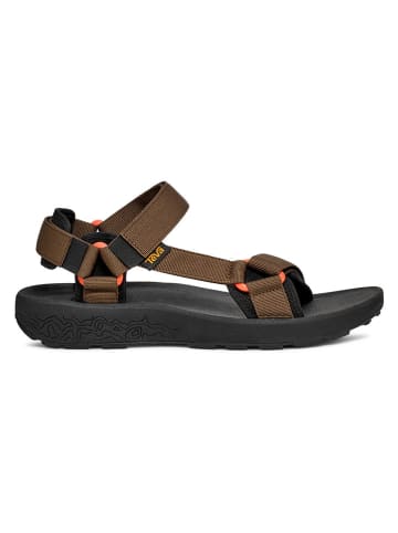 Teva Sandały trekkingowe "Hydratrek" w kolorze brązowym