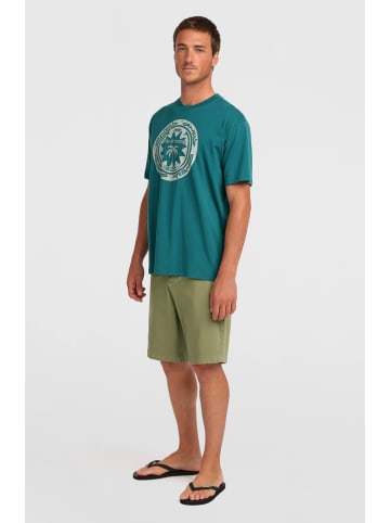 O'Neill Chinobermuda "Essentials" kaki