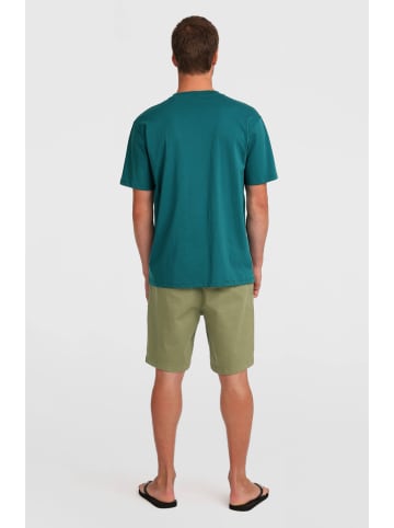 O'Neill Bermudy "Essentials" w kolorze khaki