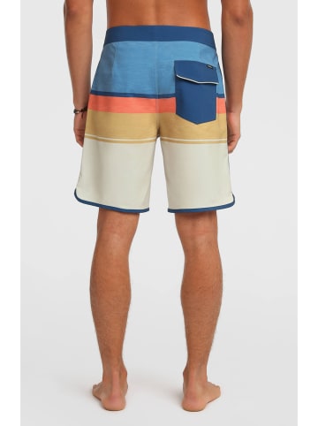 O'Neill Zwemshorts "Lennox Scallop 19" meerkleurig