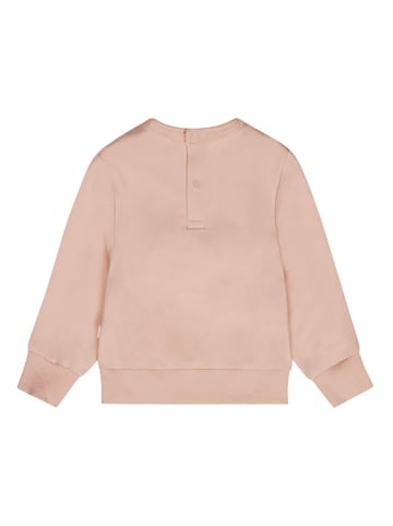 Dirkje Sweatshirt in Rosa