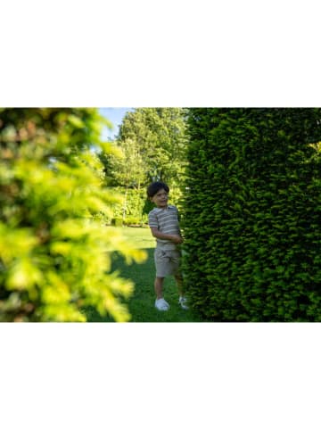 Koko Noko Szorty w kolorze khaki