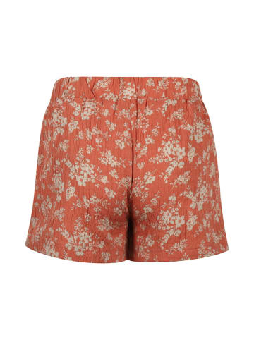 Koko Noko Shorts in Orange/ Creme