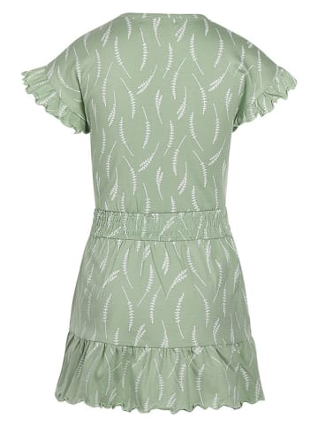 Koko Noko Sukienka w kolorze zielonym